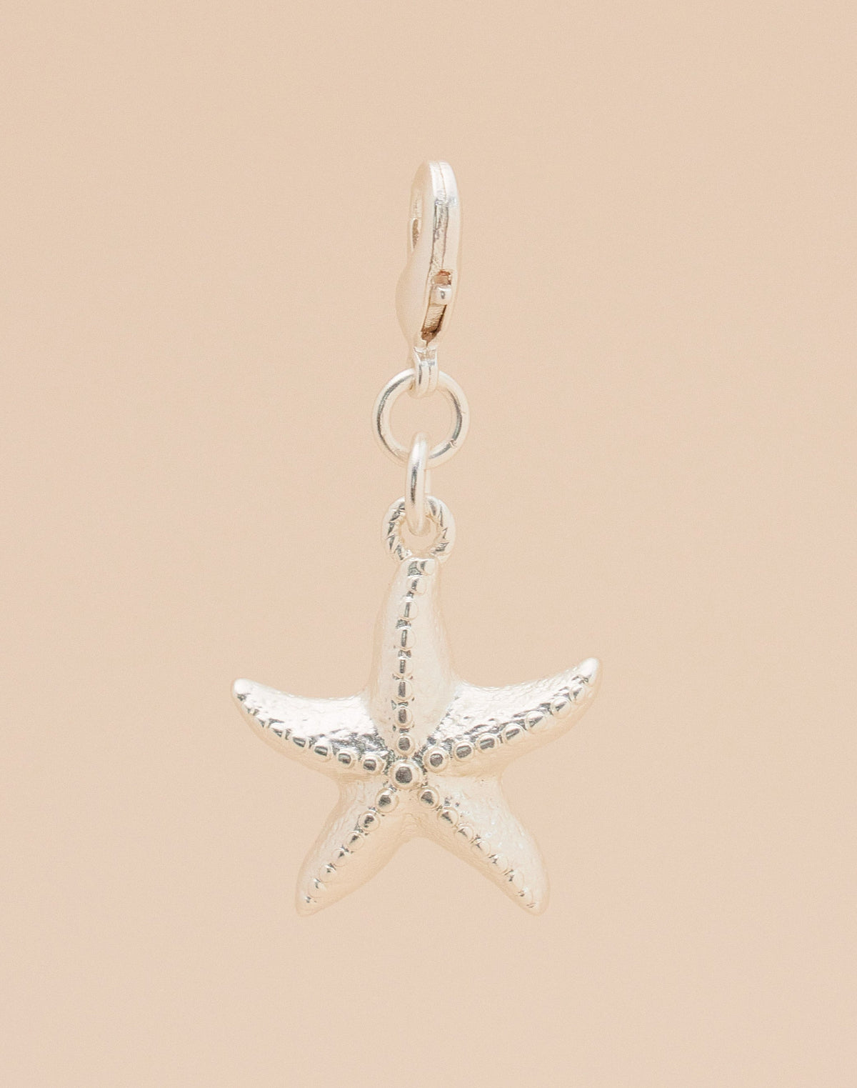Mini Charm Estrella de Mar
